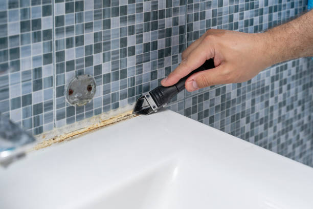 Best Local Mold Removal Service  in Gatesville, TX