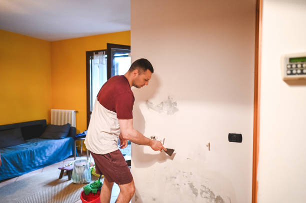 Best Office Mold Removal Services  in Gatesville, TX